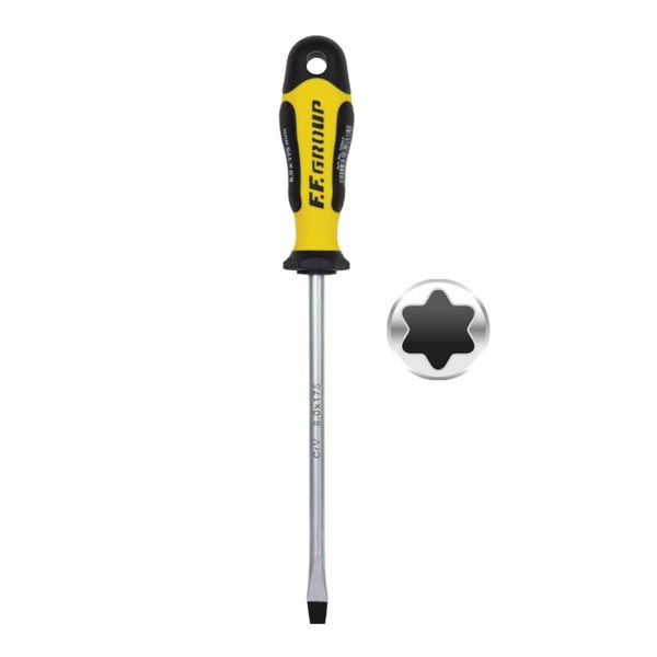 TORX SCREWDRIVER